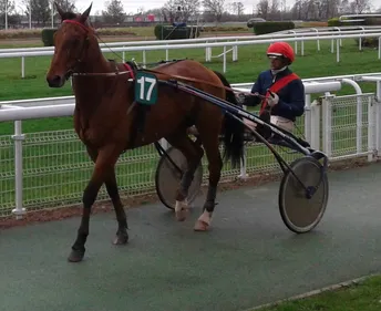 Hippisme : nos préférés pour ce samedi 26 novembre